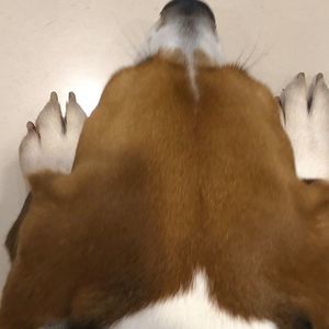 Meet your Posher, Paul